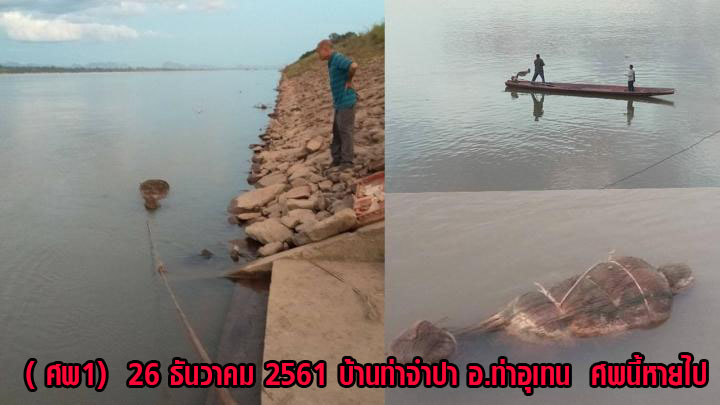 ศพ1ท่าจำปา