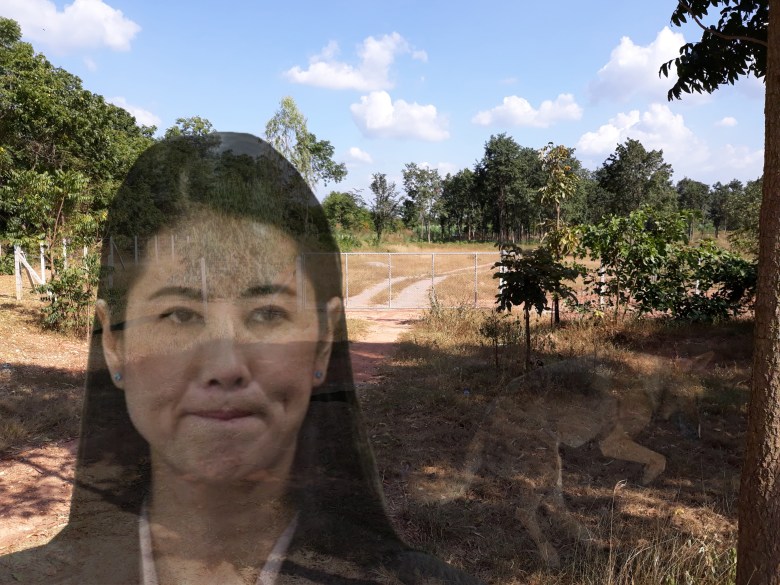 ปารีนาหมา