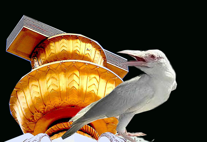 ถิ่นกาขาว